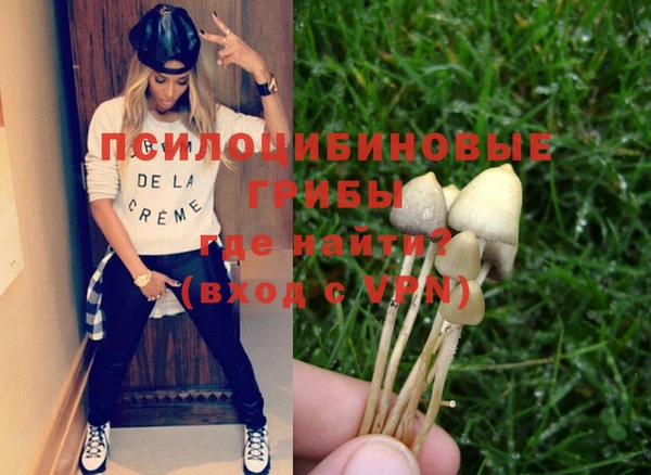 прущая мука Абаза