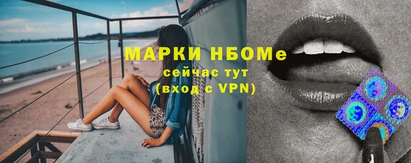 сатива Абинск