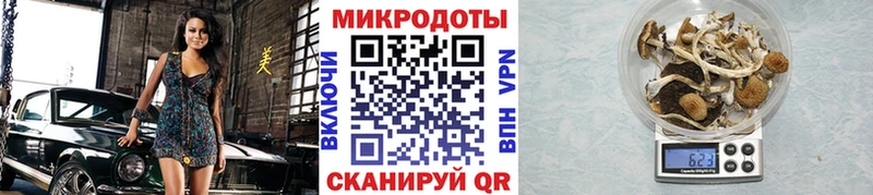 как найти   Кашира  Псилоцибиновые грибы прущие грибы 