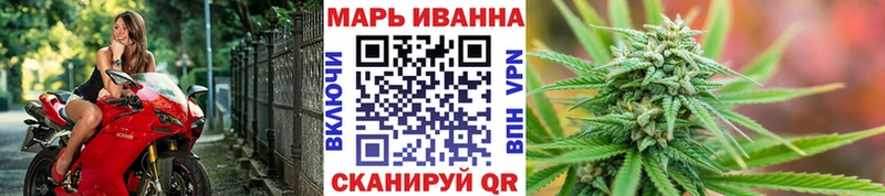 Канабис OG Kush  Кашира 